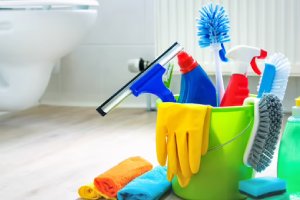 Messie Reinigung Goslar