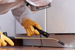 Messie Schädlingsbekämpfung Goslar